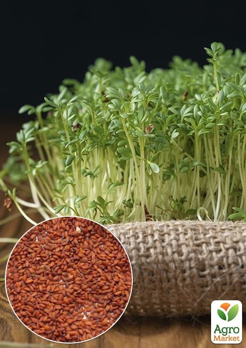 На развес Кресс-салат "Микрогрин" ТМ "Весна" цена за 3г