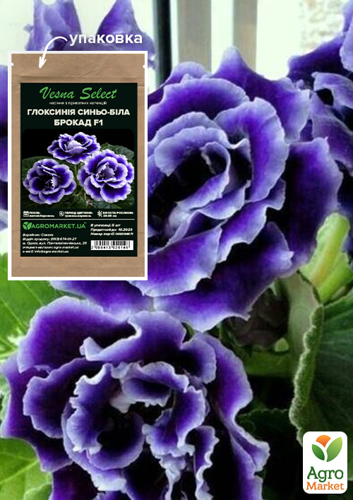 Глоксинія "Брокад F1" синьо-біла ТМ "Vesna Select" 5шт