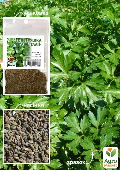 Петрушка "Гігант Італії" (Зипер) ТМ "Весна" 7г
