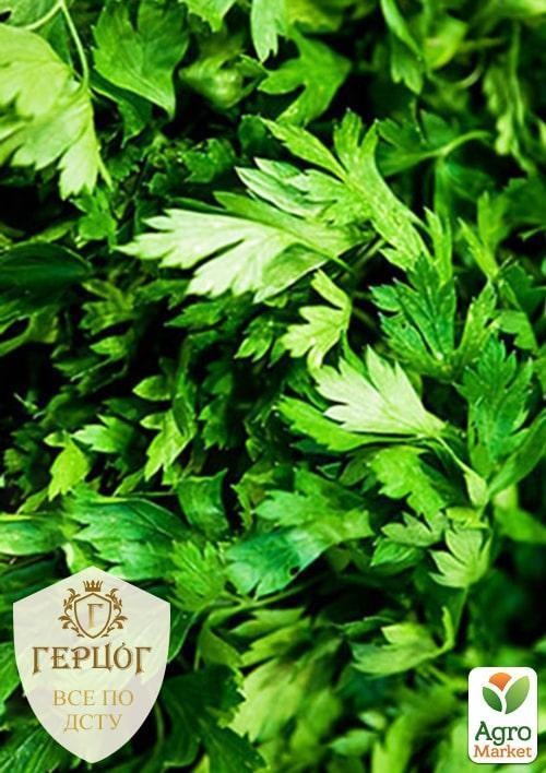 Петрушка "Герцог" корневая "Сахарная" ТМ "Весна" 5г