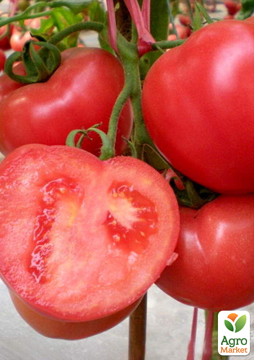 Томат "Honeymoon" ТМ "Vesna Select" 0.2г - фото 2