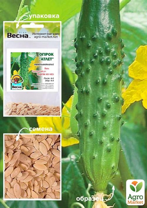 Огірок "Атлет" (Зипер) ТМ "Весна" 1.5г
