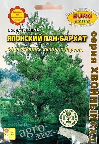 Сосна тунберга "Японский пан-бархат" ТМ "Аэлита" 0.2г