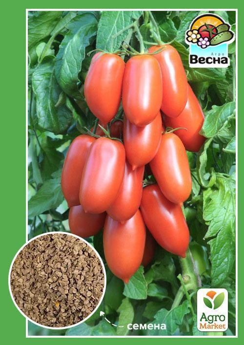 Томат "Французский гроздевой" (Новый пакет) ТМ "Весна" 0.2г
