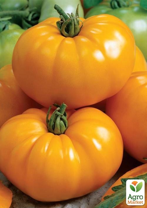 Томат "Солнечный круг" ТМ "Vesna Select" 0.2г