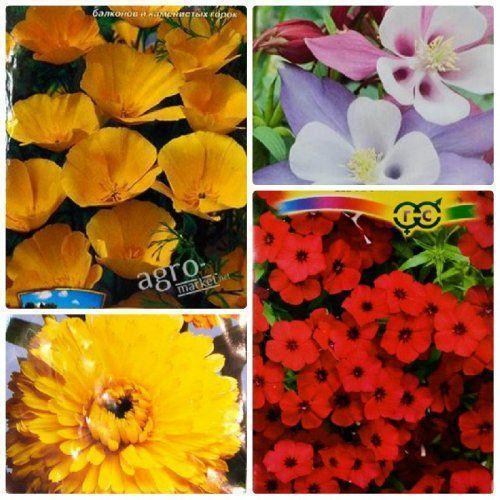Комплект семян цветов "Цветочная семейка" 5уп