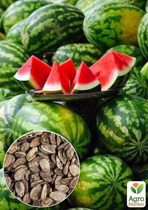 На вагу Кавун "Арріба" ТМ "Весна" ціна за 6г