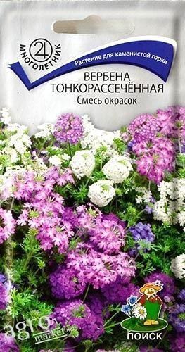 Вербена тонкорассечённая "Суміш забарвлень" ТМ "Пошук" 0.02г