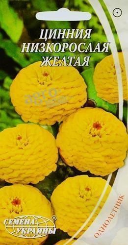 Цинія низькоросла жовта ТМ "Насіння України" 0.5г