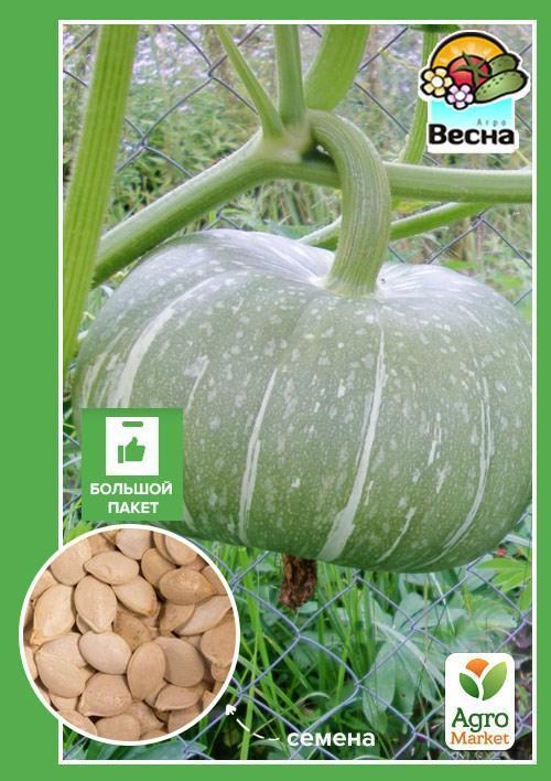Гарбуз "Ждана" (Великий пакет) ТМ "Весна" 8г