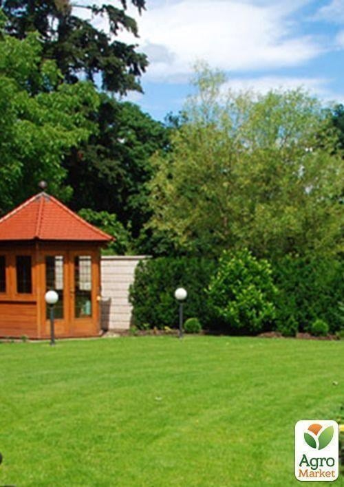 Газонная травосмесь "Стойкий к вытаптыванию" ТМ "Семейный сад" 800г - фото 2