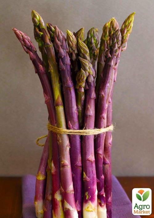 Спаржа делікатесна "RosalieF1" (гібрид фіолетовою спаржі)