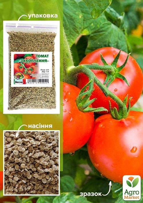 Томат "Восхищение" ТМ "Весна" 100г