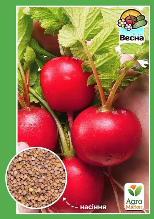 Редис "Кармен" ТМ "Весна" 2г