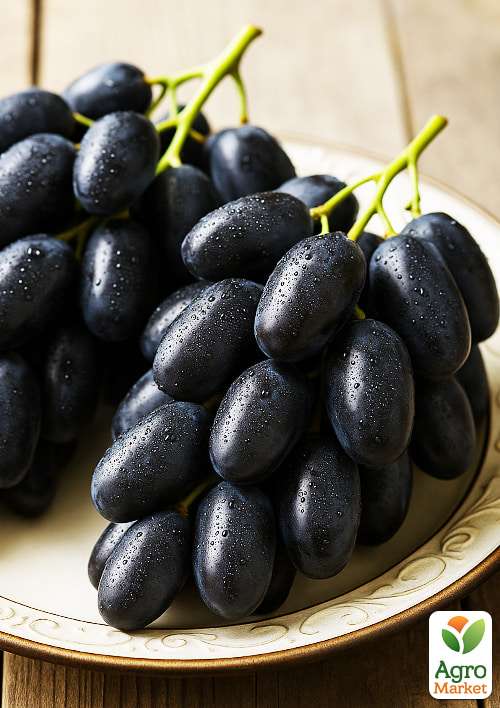 Виноград "Первісток ранній" (ранньостиглий, крупний, морозостійкий) - фото 4