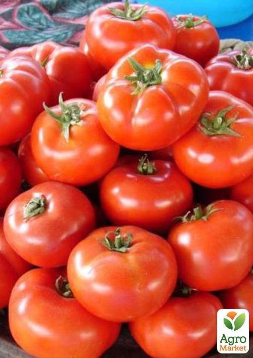 Томат "Закусочный" ТМ "Vesna Select" 0.2г - фото 2