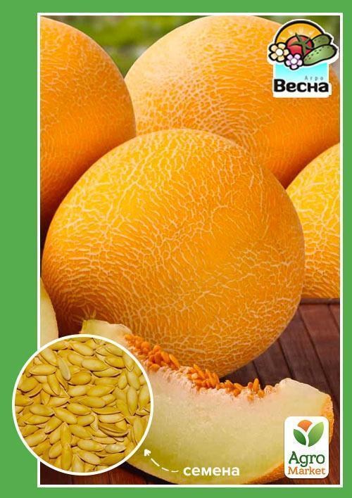 Диня "Тавричанка" ТМ "Весна" 1.5г