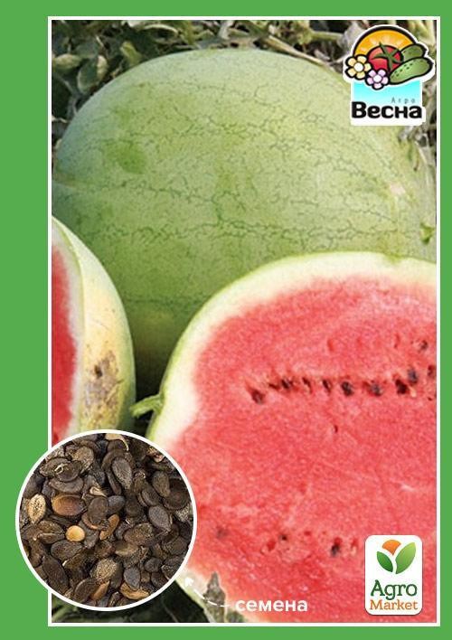 Арбуз "Бинго" ТМ "Весна" 1.5г
