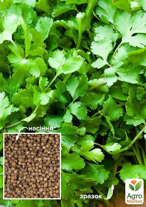 Кориандр "Пикантный" ТМ "Весна" 100г