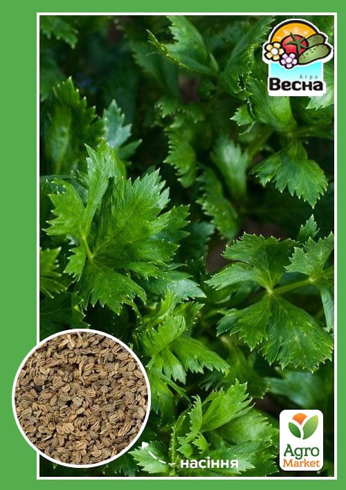 Селера "Листкова" (Великий пакет) ТМ "Весна" 1г