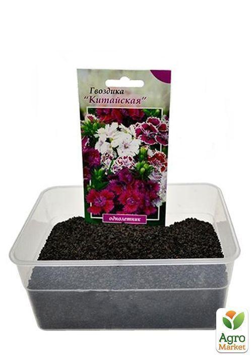 На вагу Гвоздика Китайська суміш ТМ "Весна" ціна за 2г - фото 3