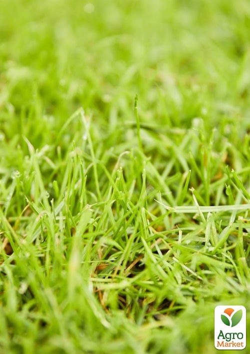 Твердое удобрение для газонов против сорняков COMPO 10кг (4614) - фото 5