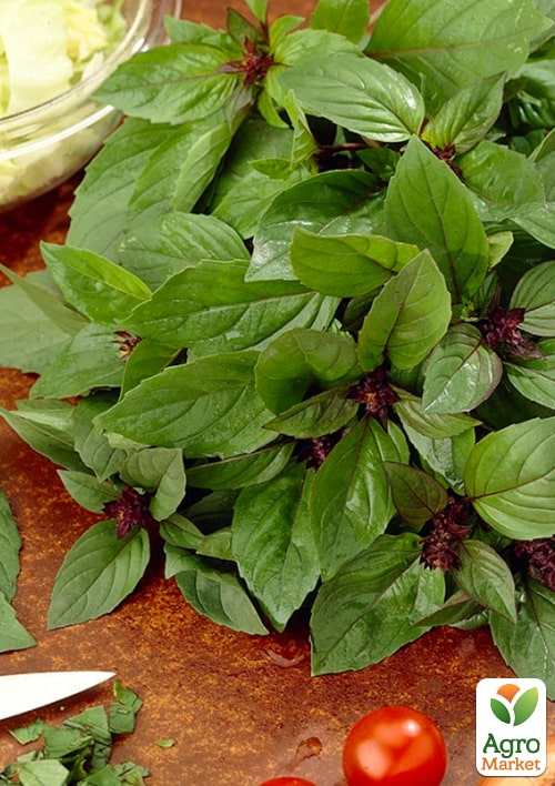 Базилик "Коричный" (Зипер) ТМ "Весна" 1,5г - фото 2