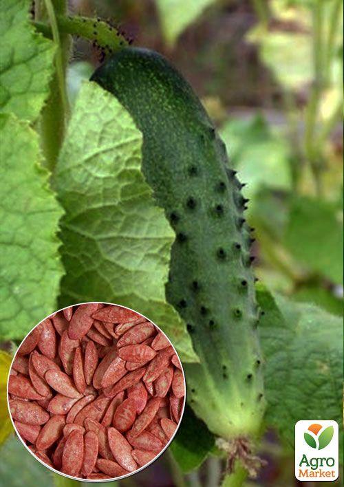 На развес Огурец "Карат" ТМ "Весна" цена за 1г