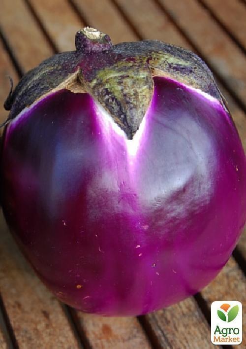 Баклажан "Пятачок" ТМ "Vesna Select" 20шт - фото 2