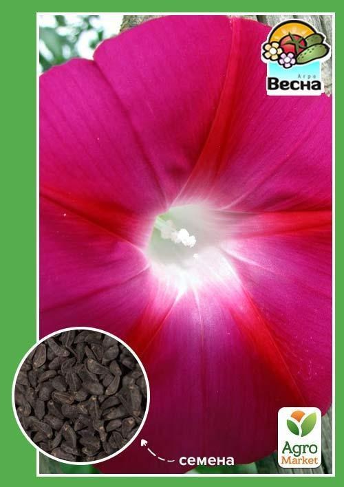 Ипомея красная ТМ "Весна" 0.5г