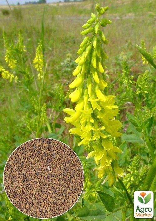 На развес Донник желтый ТМ "Весна" цена за 30г