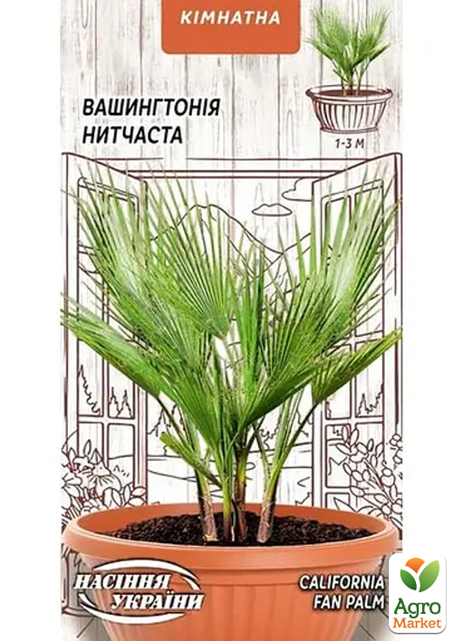 Пальма "Вашингтония" ТМ "Семена Украины" 5шт
