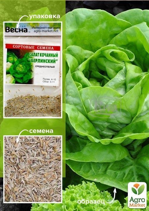 Салат качанний "Берлінський" (Зипер) ТМ "Весна" 3г