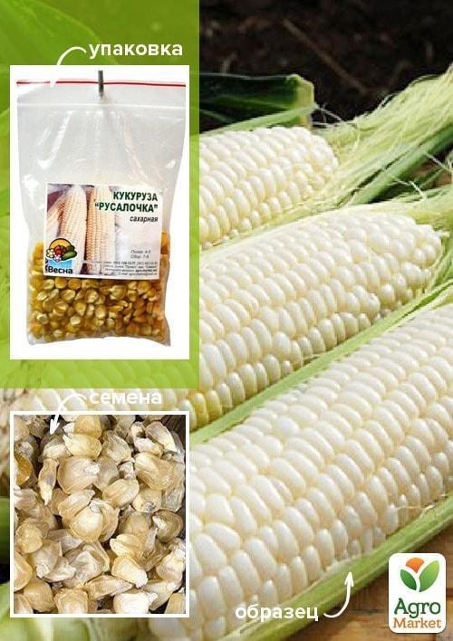 Кукуруза "Русалочка" ТМ "Весна" 100г