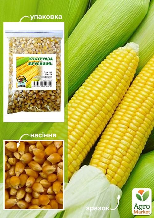 Кукурудза цукрова "Брусниця" ТМ "Весна" 500г