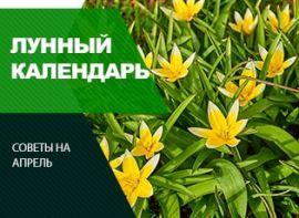 Місячний календар на квітень 2021 року - корисні статті про садівництво від Agro-Market