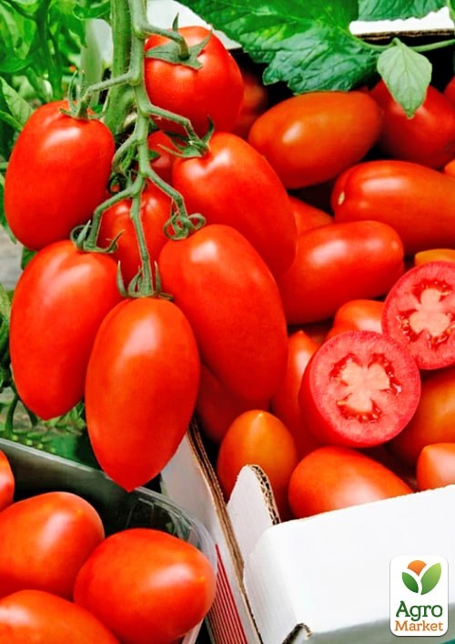 На развес Томат "Сэр Элиан" ТМ "Весна" цена за 1г - фото 2