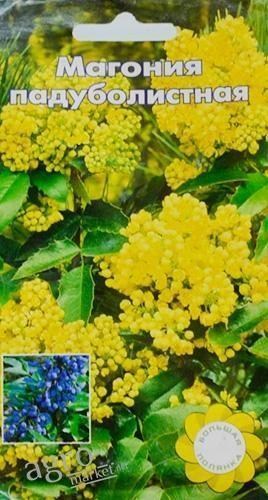 Магонія падуболистная ТМ "Велика галявина" 0.1г