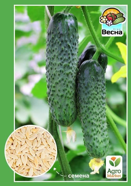 Огірок "Дядя Федір F1" (Новий пакет) ТМ "Весна" 0.5г
