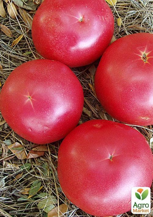 Томат "Рожеві щічки" ТМ "Vesna Select" 0,2г - фото 3