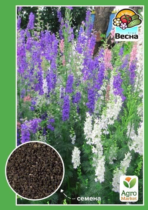 Дельфиниум смесь "Однолетний" ТМ "Весна" 0.2г