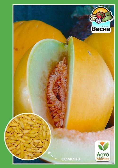 Диня "Липнева" ТМ "Весна" 1.5г