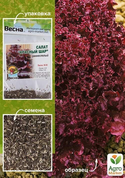 Салат "Червона куля" (Зипер) ТМ "Весна" 3г
