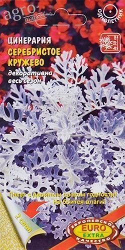 Цинерарія "Серебристое мереживо" ТМ "Аеліта" 0.05г