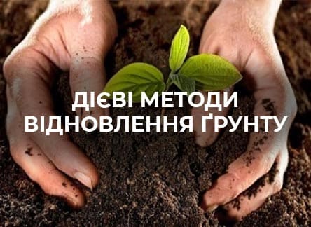 Як відновити виснажений ґрунт