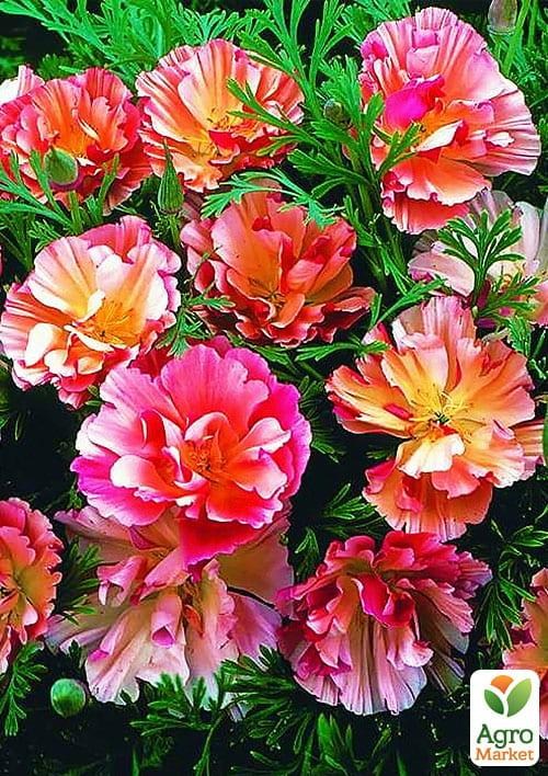 Эшшольция "Яблоневый цвет" (в банке) ТМ "Весна Органик" 3г