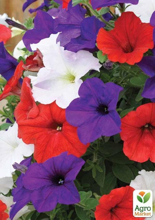 Петуния смесь (Зипер) ТМ "Весна" 1г - фото 2
