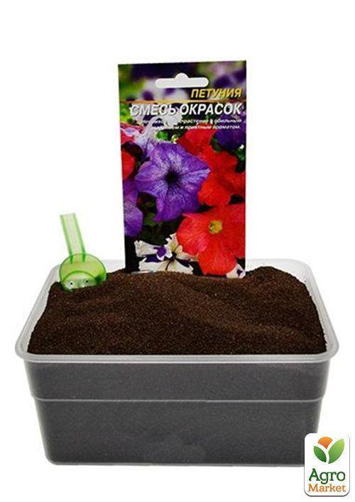 На развес Петуния смесь ТМ "Весна" цена за 1,5г - фото 4