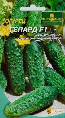 Огірок "Гепард F1" ТМ "Яскрава" 12шт