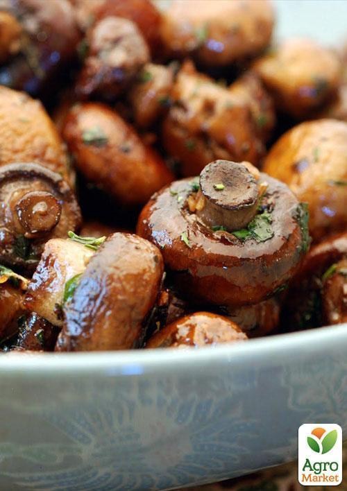 Сухий зерновий міцелій «Печериця садова» 100г - фото 2